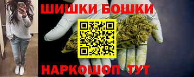 Альфа ПВП Будённовск