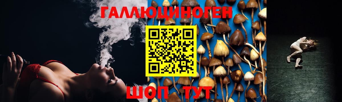 Псилоцибиновые грибы мицелий Сарапул